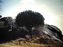 Afrc 00 289 Masai Gong Rocks